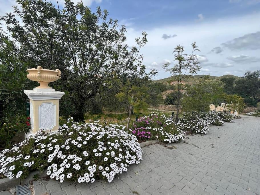 Luxury Holiday Escape In The Countryside Ταβίρα Εξωτερικό φωτογραφία